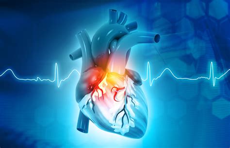 Cardiology .